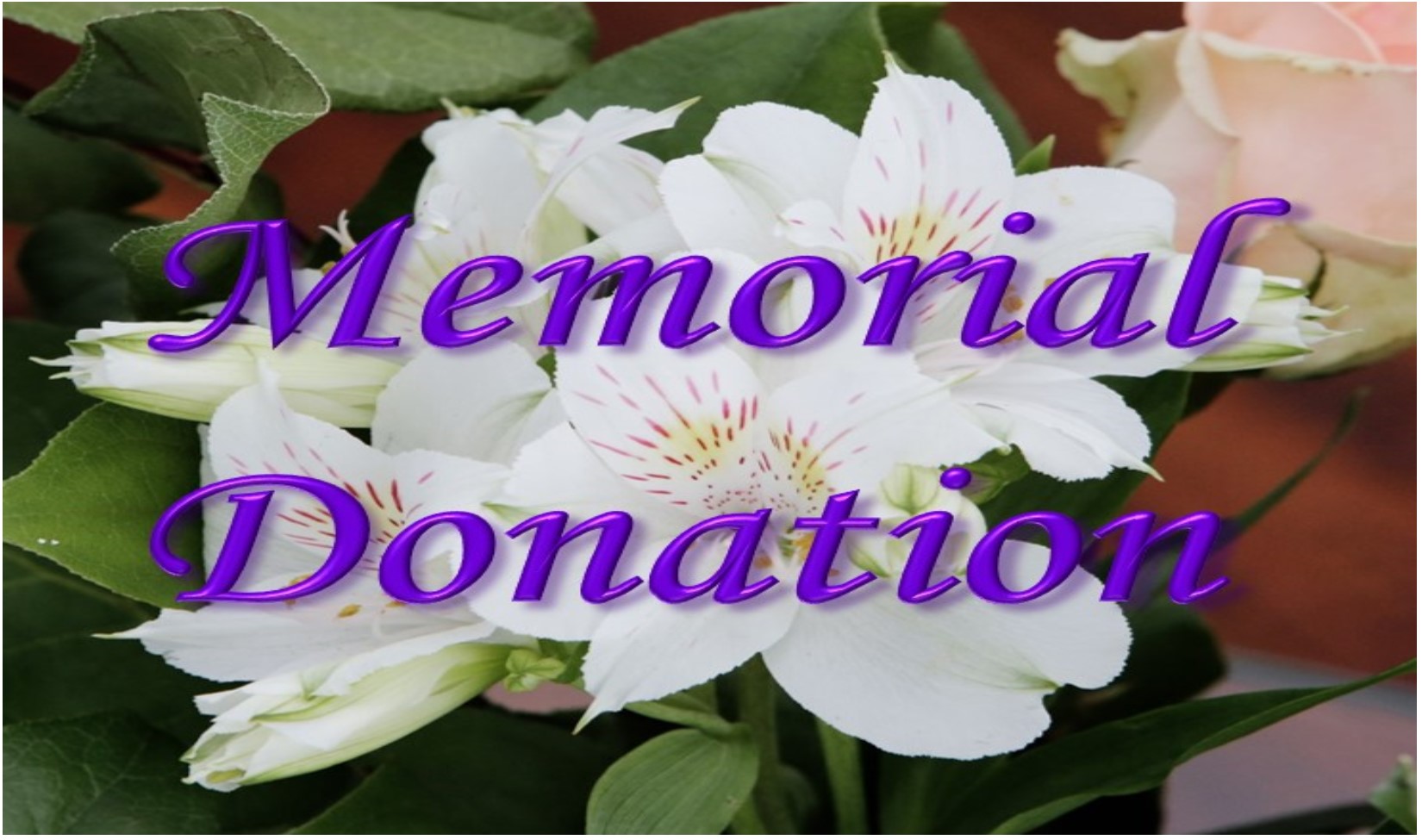Memorial Donations
