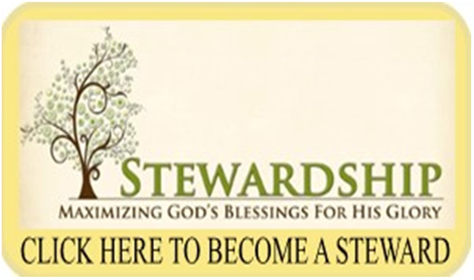 Stewardship